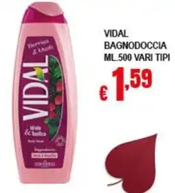 Risparmio Supermercati Vidal bagnodoccia offerta
