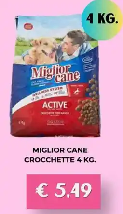 Kuadrifoglio Miglior cane crocchette active offerta
