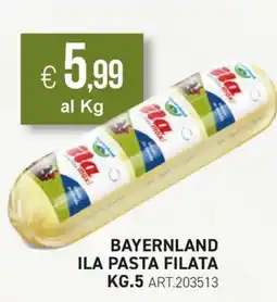 PGS Cash&Carry Ilta pasta filata offerta