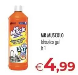 MerSi Supermercati Mr Muscle idraulico gel offerta