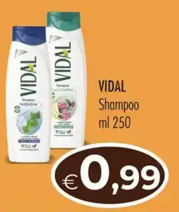 MerSi Supermercati Vidal Shampoo offerta