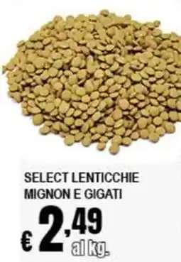 Risparmio Supermercati Select lenticchie mignon e gigati offerta