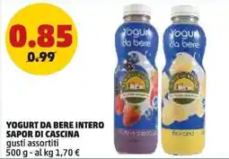 PENNY Yogurt da bere intero offerta