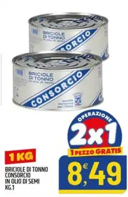 Ard Discount Briciole di tonno Consorcio offerta