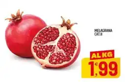 Ard Discount Melagrana Cat.II offerta