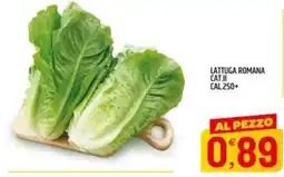 Ard Discount Lattuga romana offerta