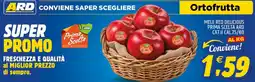 Ard Discount Mele red delicious Prima Scelta ARD offerta