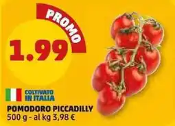 PENNY Pomodoro Piccadilly offerta
