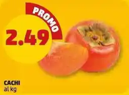 PENNY Cachi offerta