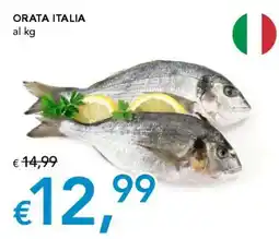 Migross Superstore Orata Italia offerta