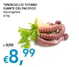 Migross Superstore Tentacoli di totano gigante del Pacifico offerta