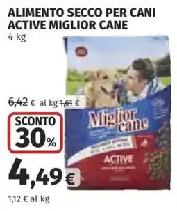 Ipercoop Alimento secco per cani Active Miglior Cane offerta