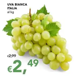 Migross Superstore Uva bianca Italia offerta