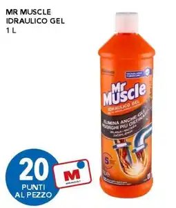 Migross Superstore Mr Muscle idraulico gel offerta