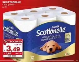 Boningros Cash and Carry Scottonelle carta igienica offerta
