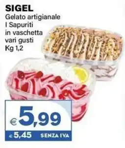 Boningros Cash and Carry Sigel Gelato artigianale I Sapuriti in vaschetta offerta