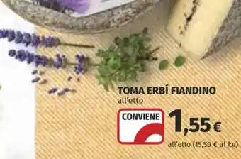 Toma Erbi Fiandino