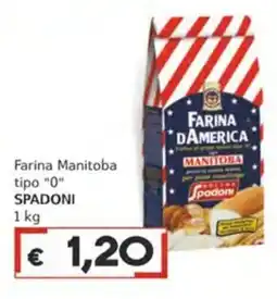 Italy Cash Farina Manitoba tipo "0" Spadoni offerta