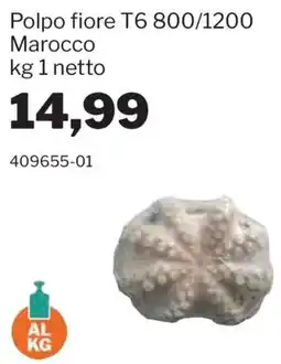 GrosMarket Polpo fiore T6 offerta