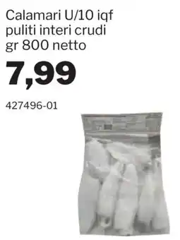 GrosMarket Calamari U/10 iqf puliti interi crudi offerta