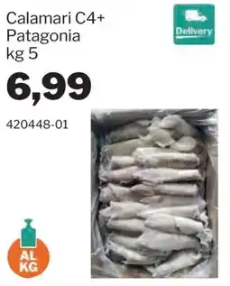 GrosMarket Calamari C4+ Patagonia offerta