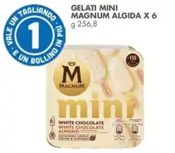 Italmark Gelati mini Magnum Algida offerta