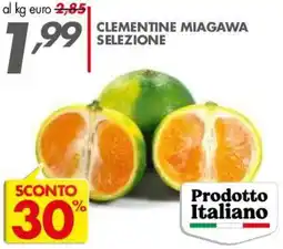 Italmark Clementine Miagawa Selezione offerta
