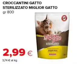 Oasi Crocchettini gatto sterilizzato Miglior gatto offerta