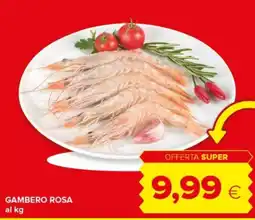 Oasi Gambero rosa offerta