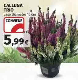 Ipercoop Calluna Trio offerta