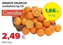 Tigre Arance Valencia Consilia offerta