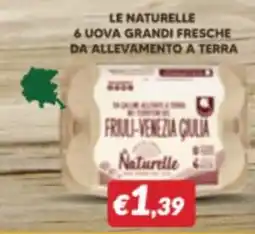 Supermercati Visotto Uova grandi fresche Naturelle offerta