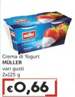 Italy Cash Crema di Yogurt MÜLLER offerta