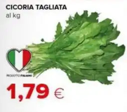 Tigre Cicoria tagliata offerta