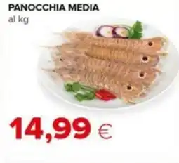 Tigre Panocchia media offerta