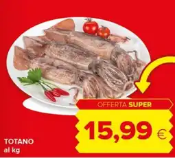 Tigre Totano offerta