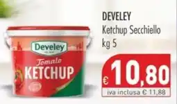 Cash & Carry Grossy Develey Tomato Ketchup offerta