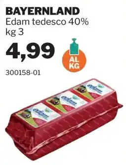 GrosMarket Edam tedesco offerta