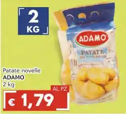 Italy Cash Patate novelle ADAMO offerta