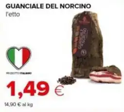 Tigre Guanciale del Norcino offerta