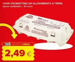 Tigre Uova ovomattino da allevamento a terra offerta