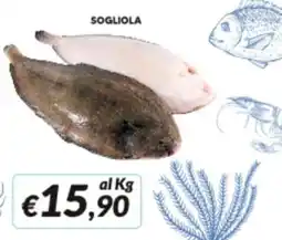 Supermercati Visotto Sogliola offerta