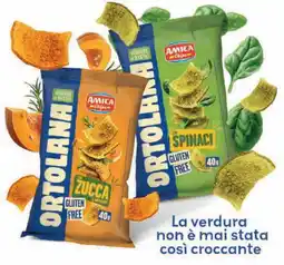 GrosMarket Amica Chips Ortolana Zucca offerta