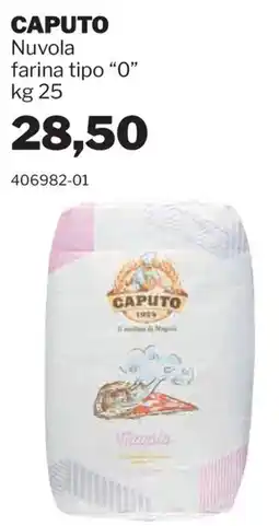 GrosMarket Caputo Nuvola farina tipo "O" offerta