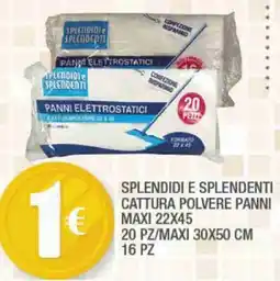 Splendidi e Splendenti Splendidi e splendenti cattura polvere panni offerta