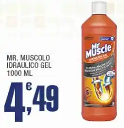 Splendidi e Splendenti Mr. Muscle idraulico gel offerta
