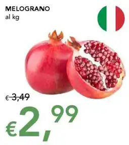 Migross Supermercati e Market Melograno offerta