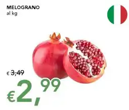 Migross Superstore Melograno offerta