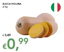 Migross Superstore Zucca violina offerta