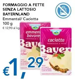 Migross Superstore Formaggio senza lattosio Bayernland offerta
